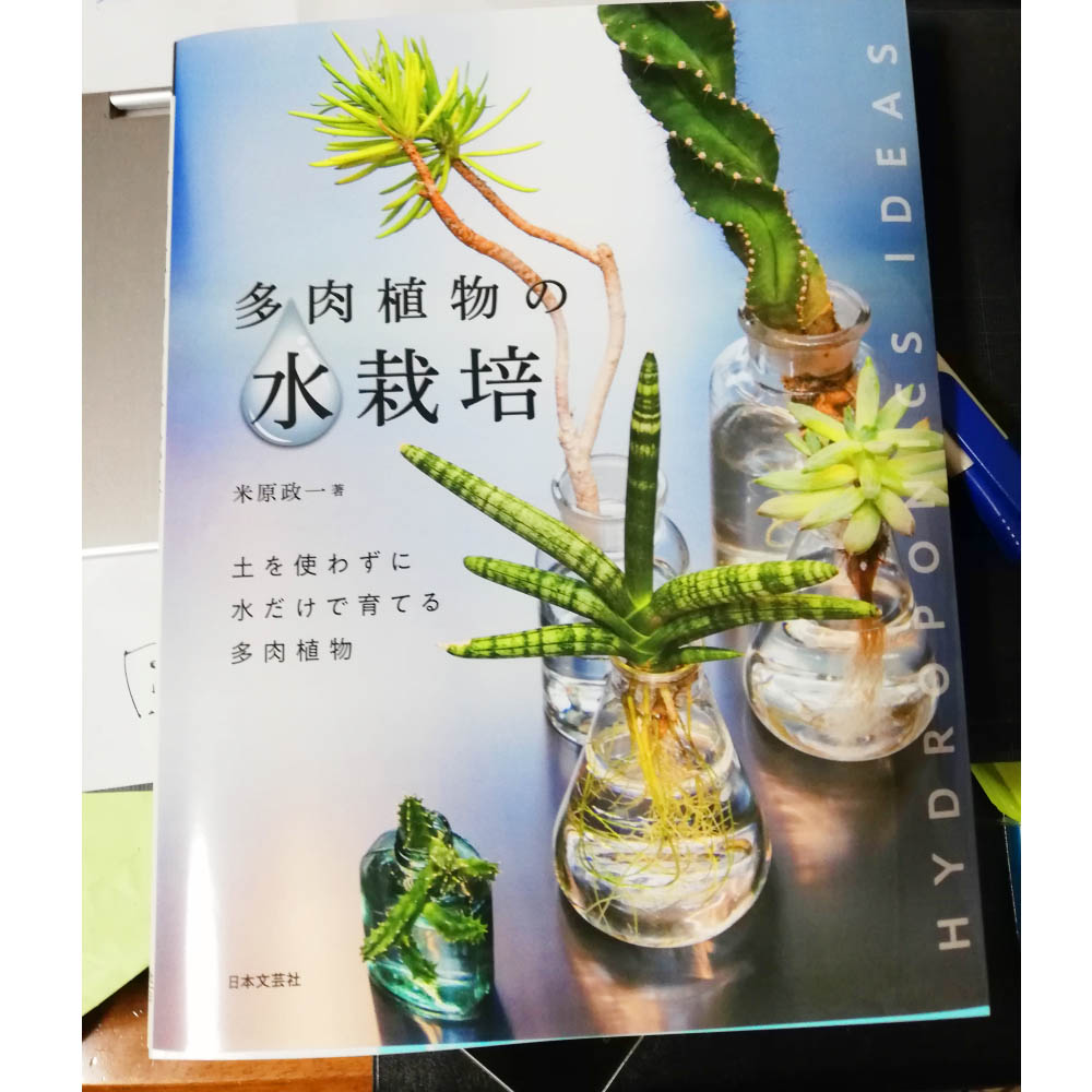 多肉植物の水栽培の書籍の書評 インテリアと園芸とホビーのブログ