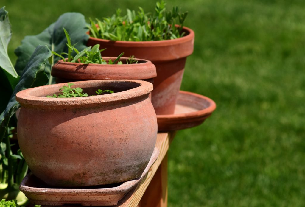 コンテナ栽培 鉢植え栽培の鉢選びのポイント インテリアと園芸とホビーのブログ